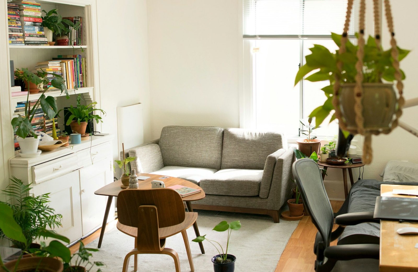 Bright furnished living room