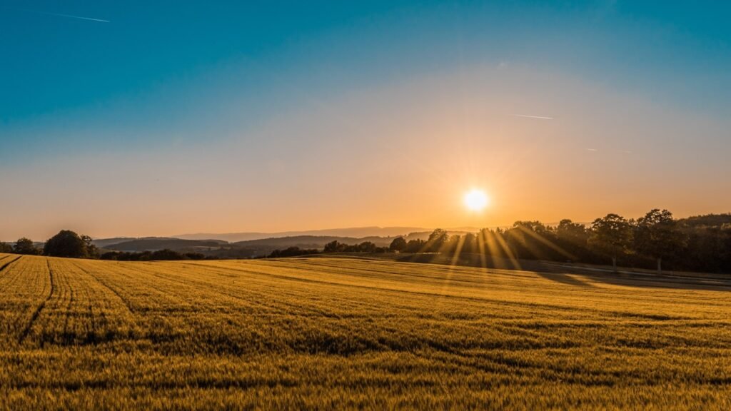 Selling or Leasing in Mickleham?